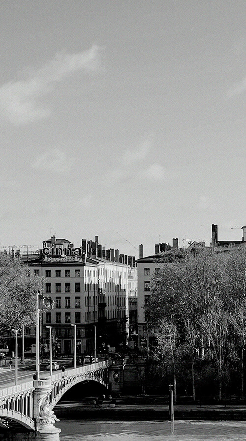 Cabinet Plexus Avocats Lyon